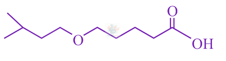 JEE Main 2022 Chemistry, Alcohols Phenols and Ethers — option C figure