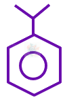 JEE Main 2023 Chemistry, Alcohols Phenols and Ethers — option C figure