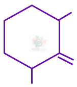JEE Main 2023 Chemistry, Alcohols Phenols and Ethers — option B figure