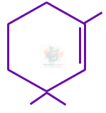 JEE Main 2023 Chemistry, Alcohols Phenols and Ethers — option D figure