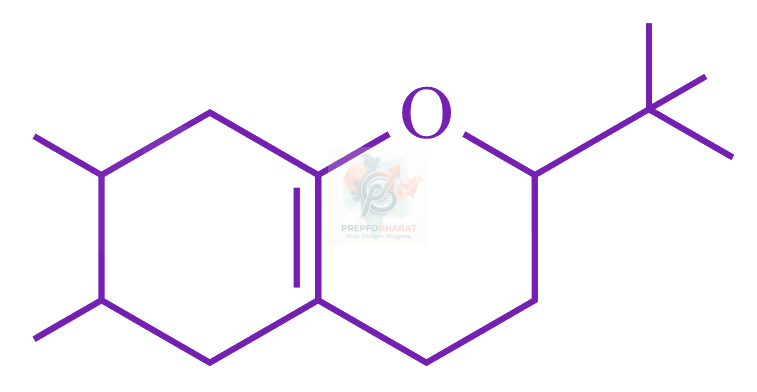 JEE Main 2023 Chemistry, Alcohols Phenols and Ethers — option B figure