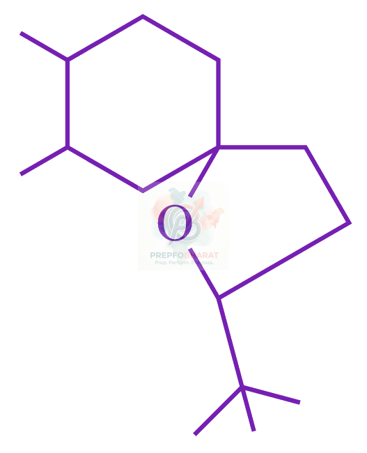 JEE Main 2023 Chemistry, Alcohols Phenols and Ethers — option D figure