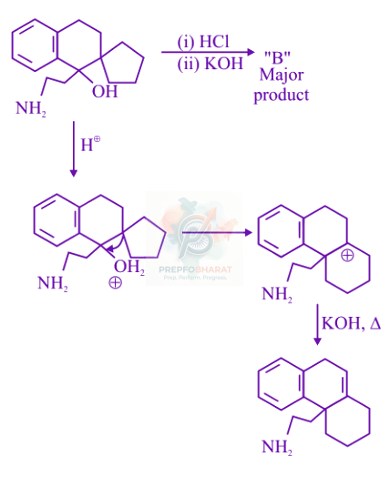JEE Main 2023 Chemistry, Alcohols Phenols and Ethers — solution figure
