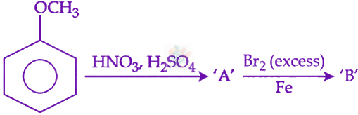 JEE Main 2024 Chemistry, Alcohols Phenols and Ethers — question figure