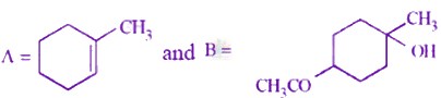 JEE Main 2024 Chemistry, Alcohols Phenols and Ethers — option A figure