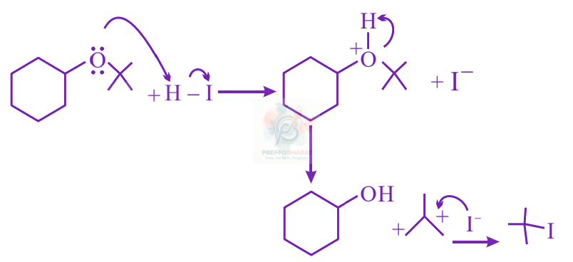 JEE Main 2024 Chemistry, Alcohols Phenols and Ethers — solution figure