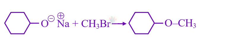 JEE Main 2025 Chemistry, Alcohols Phenols and Ethers — option B figure