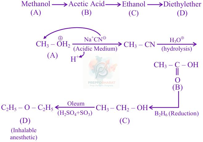 JEE Main 2025 Chemistry, Alcohols Phenols and Ethers — solution figure