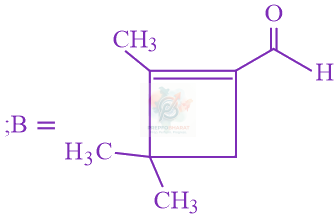 JEE Main 2019 Chemistry, Aldehydes and Ketones — option A figure 2