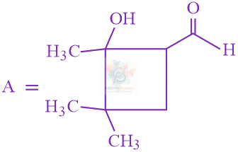 JEE Main 2019 Chemistry, Aldehydes and Ketones — option C figure 1