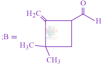JEE Main 2019 Chemistry, Aldehydes and Ketones — option C figure 2
