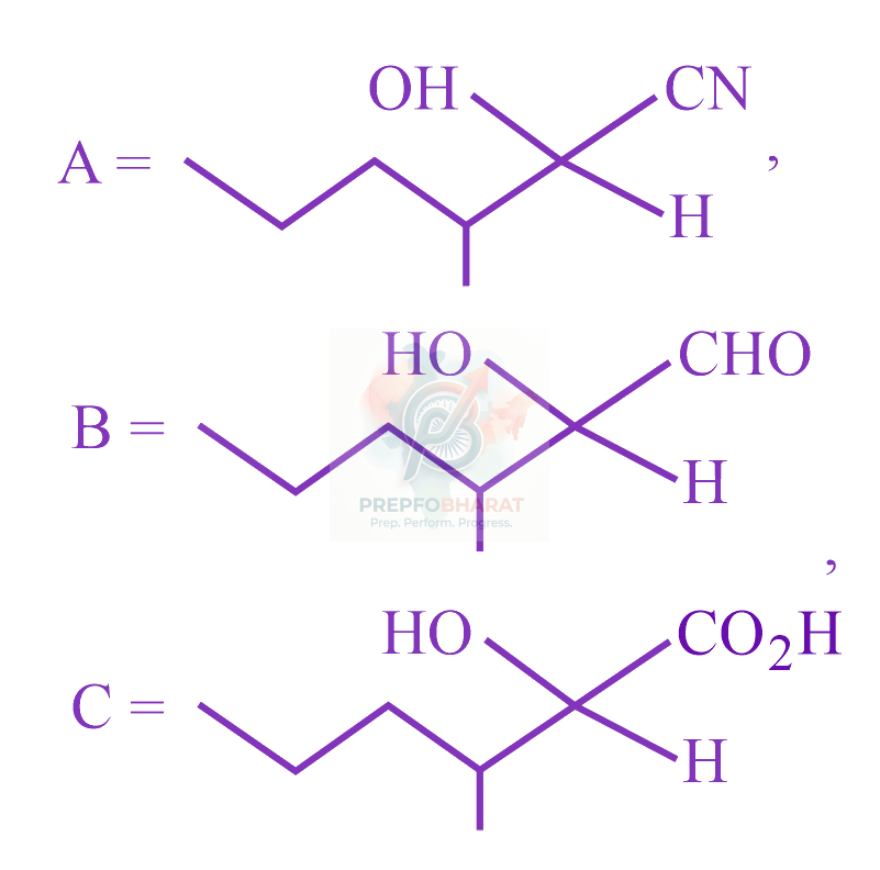 JEE Main 2023 Chemistry, Aldehydes and Ketones — option A figure