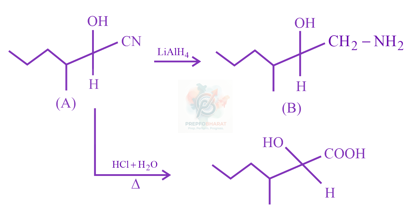 JEE Main 2023 Chemistry, Aldehydes and Ketones — solution figure