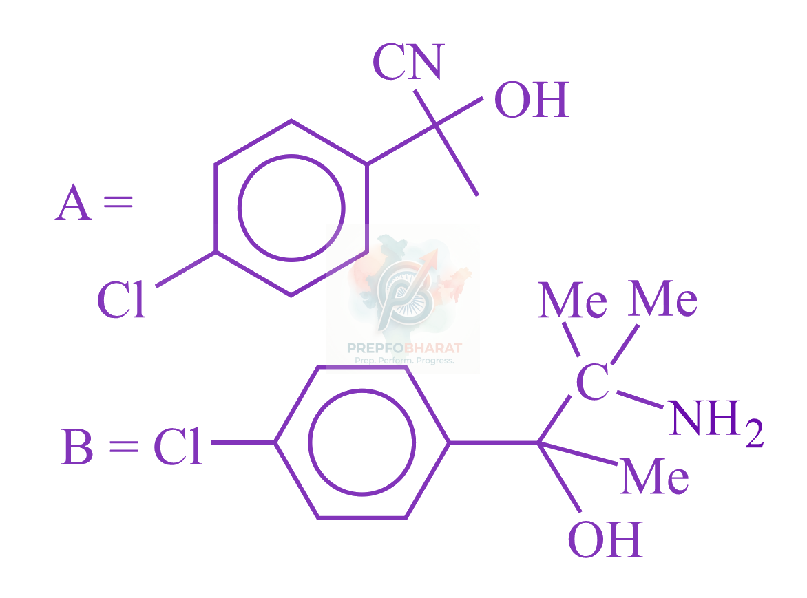 JEE Main 2023 Chemistry, Aldehydes and Ketones — option C figure