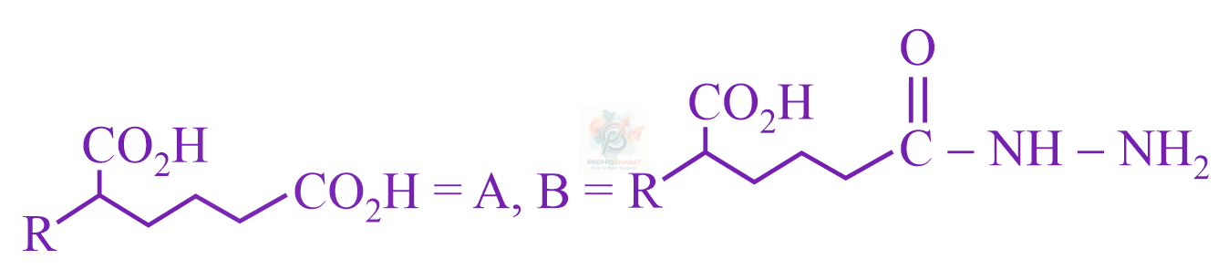 JEE Main 2023 Chemistry, Aldehydes and Ketones — option A figure