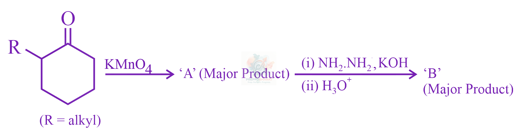 JEE Main 2023 Chemistry, Aldehydes and Ketones — question figure