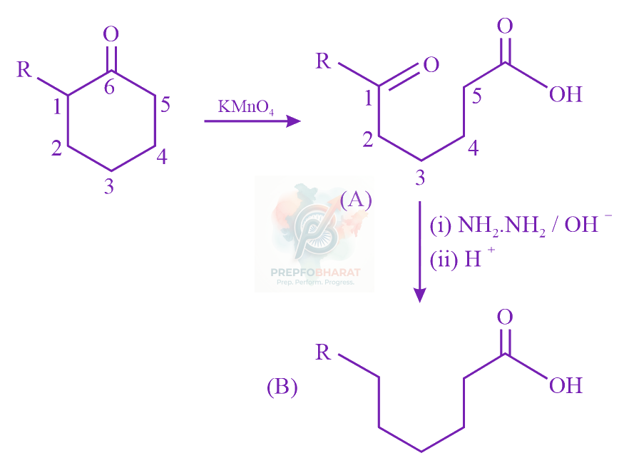 JEE Main 2023 Chemistry, Aldehydes and Ketones — solution figure