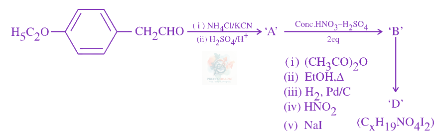 JEE Main 2023 Chemistry, Aldehydes and Ketones — question figure