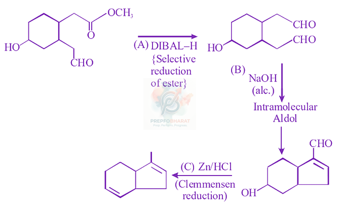 JEE Main 2024 Chemistry, Aldehydes and Ketones — solution figure