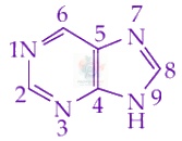 JEE Main 2016 Chemistry, Amines — question figure