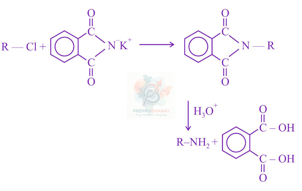 JEE Main 2019 Chemistry, Amines — solution figure