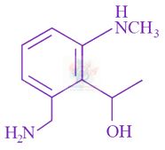 JEE Main 2019 Chemistry, Amines — option B figure