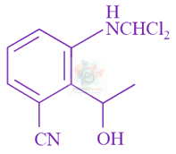 JEE Main 2019 Chemistry, Amines — option D figure