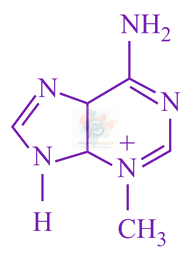 JEE Main 2019 Chemistry, Amines — option A figure