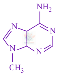 JEE Main 2019 Chemistry, Amines — option C figure