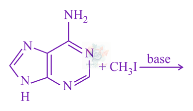 JEE Main 2019 Chemistry, Amines — question figure