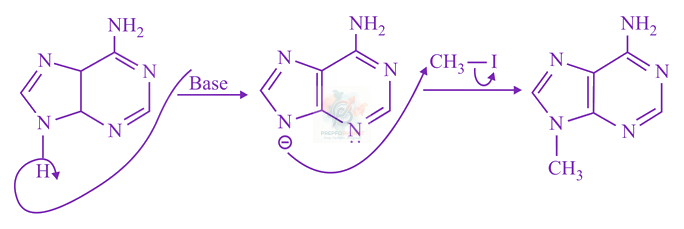 JEE Main 2019 Chemistry, Amines — solution figure
