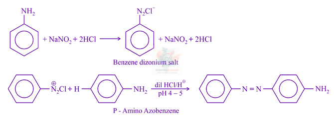 JEE Main 2019 Chemistry, Amines — solution figure