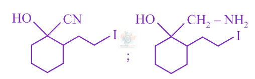 JEE Main 2019 Chemistry, Amines — option D figure