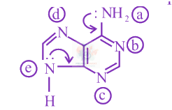 JEE Main 2019 Chemistry, Amines — solution figure