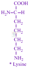 JEE Main 2020 Chemistry, Amines — solution figure 1