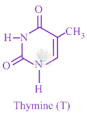 JEE Main 2020 Chemistry, Amines — solution figure 3