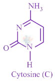 JEE Main 2020 Chemistry, Amines — solution figure 4
