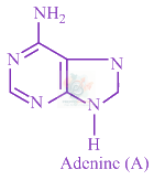 JEE Main 2020 Chemistry, Amines — solution figure 5