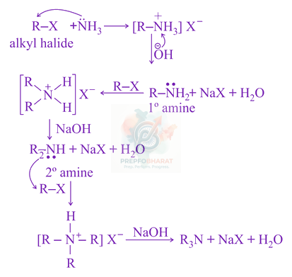 JEE Main 2021 Chemistry, Amines — solution figure