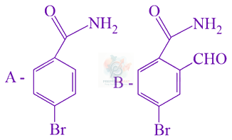 JEE Main 2021 Chemistry, Amines — option D figure