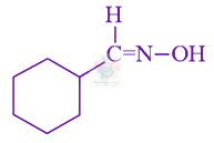 JEE Main 2021 Chemistry, Amines — option D figure