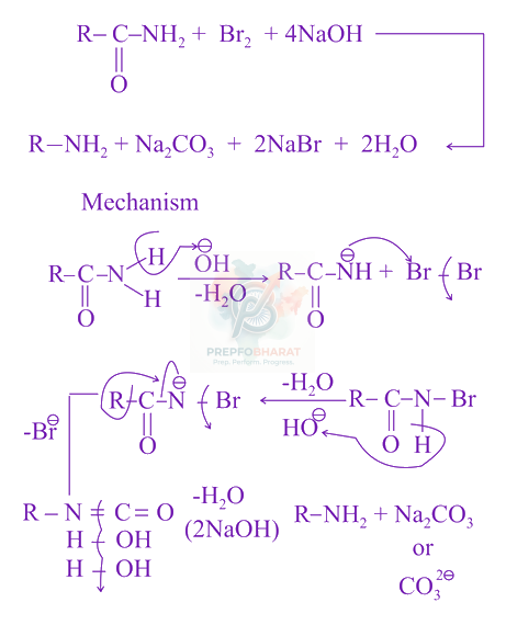 JEE Main 2021 Chemistry, Amines — solution figure