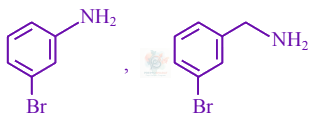 JEE Main 2021 Chemistry, Amines — option D figure