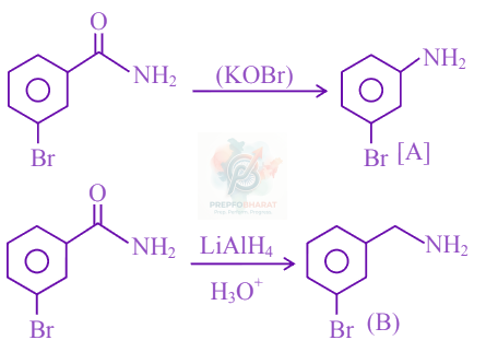 JEE Main 2021 Chemistry, Amines — solution figure