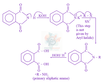 JEE Main 2021 Chemistry, Amines — solution figure