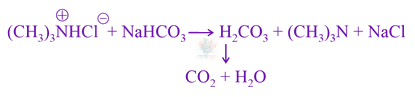 JEE Main 2021 Chemistry, Amines — solution figure