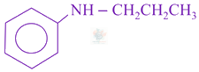 JEE Main 2021 Chemistry, Amines — option D figure