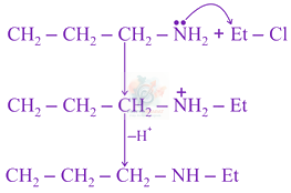 JEE Main 2021 Chemistry, Amines — solution figure