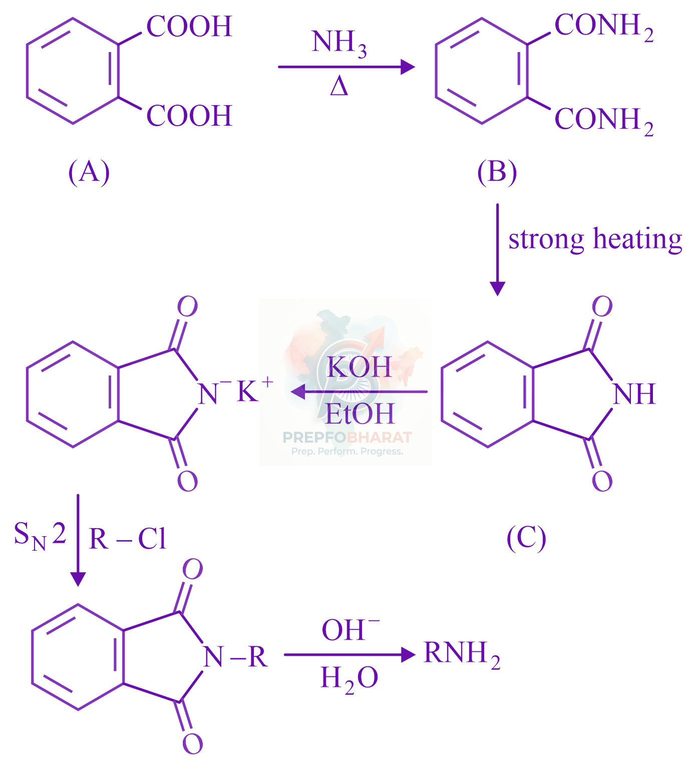 JEE Main 2022 Chemistry, Amines — solution figure