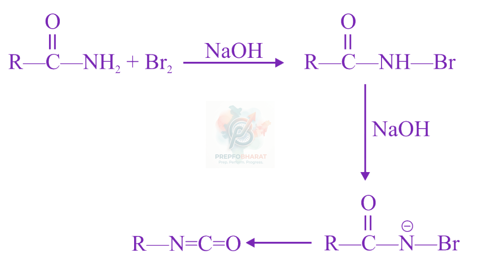 JEE Main 2022 Chemistry, Amines — solution figure